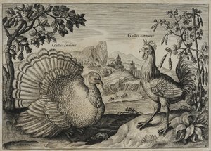 Grabado de un Maestro Antiguo de Adriaen Collaert